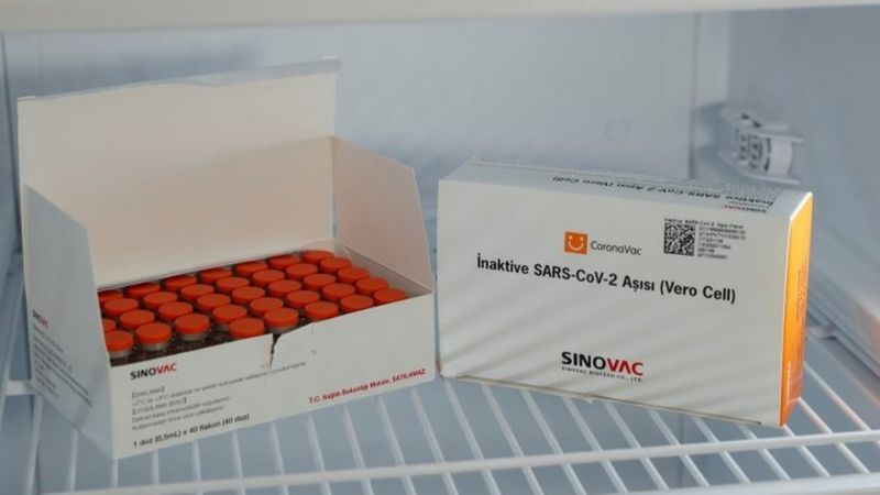 Anvisa aprova por unanimidade uso emergencial de duas vacinas no Brasil