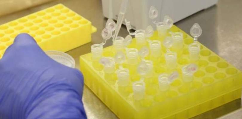 Bahia contabiliza 40 óbitos nas últimas 24 horas por Covid-19