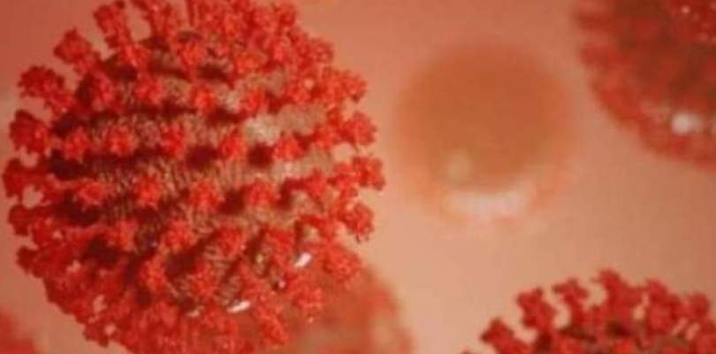 Salvador não contabiliza novos óbitos pela Covid-19 nas últimas 24 horas