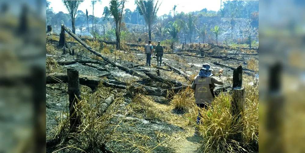 Novembro registra queda de 19% do desmatamento na Amazônia