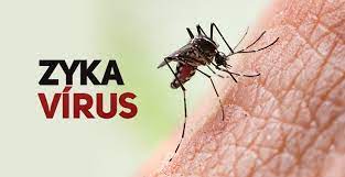 Dez cidades baianas registram epidemia de dengue; casos de zika sobem 35,9%