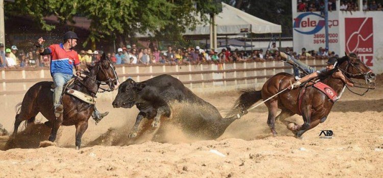 Após pandemia, vaquejadas são retomadas no Nordeste; na BA, evento movimenta mais de R$ 50 mi
