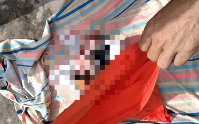 Três fetos são encontrados dentro de potes de vidro abandonados em rua