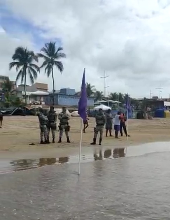 Salvamar e GCM atuam em ocorrência com peixe-boi em Itapuã