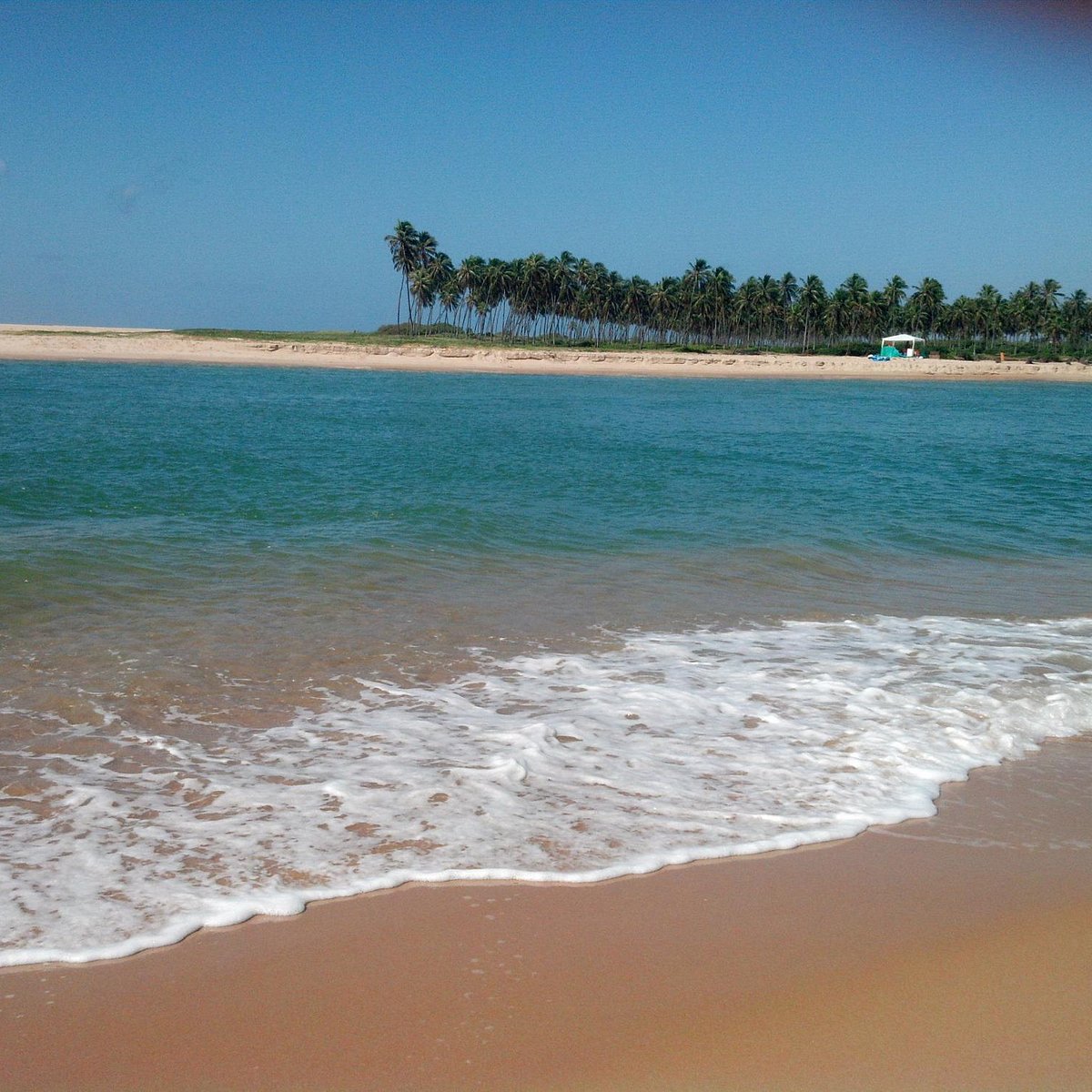 Manchas em Barra de Jacuípe e Jauá são oriundas de microalgas e praias estão liberadas para banho