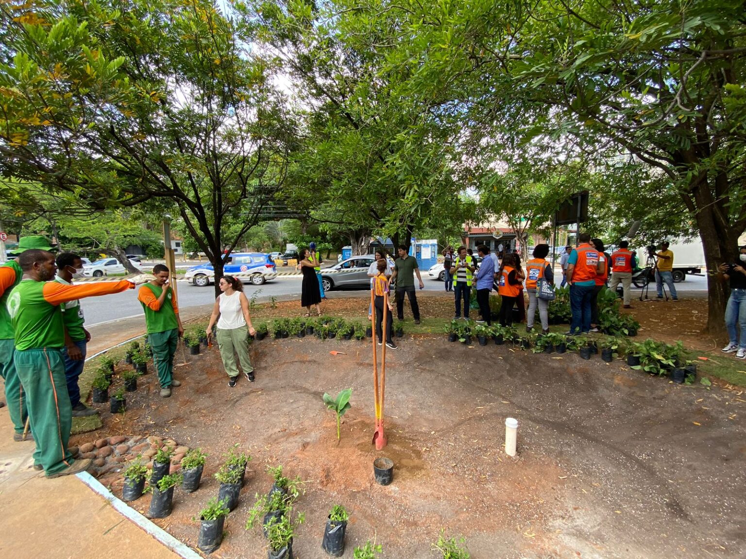Primeiro jardim de chuva em espaço público é implantado na Pituba, em Salvador