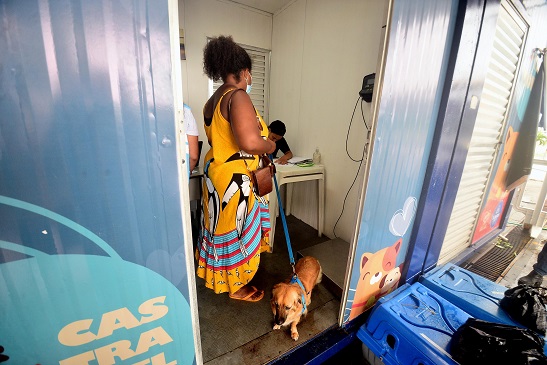 Castramóvel atende mais de 18 mil animais em 2022 
