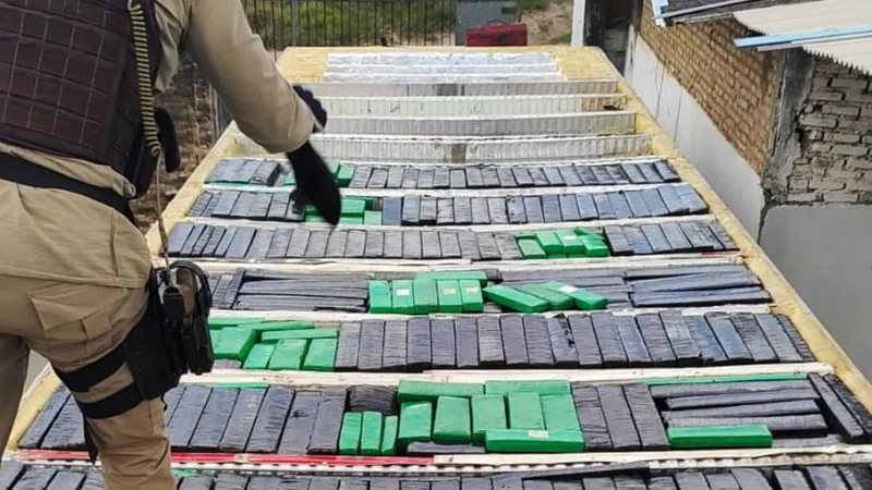 Feira de Santana: Polícia encontra uma tonelada de maconha em caminhão com frangos