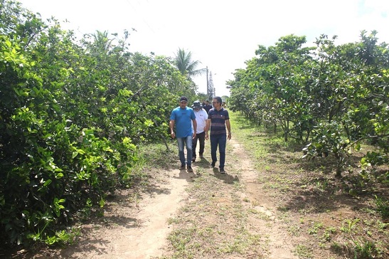 Cruz das Almas: Serviço de Assistência Técnica tem mudado a vida de agricultores do Município