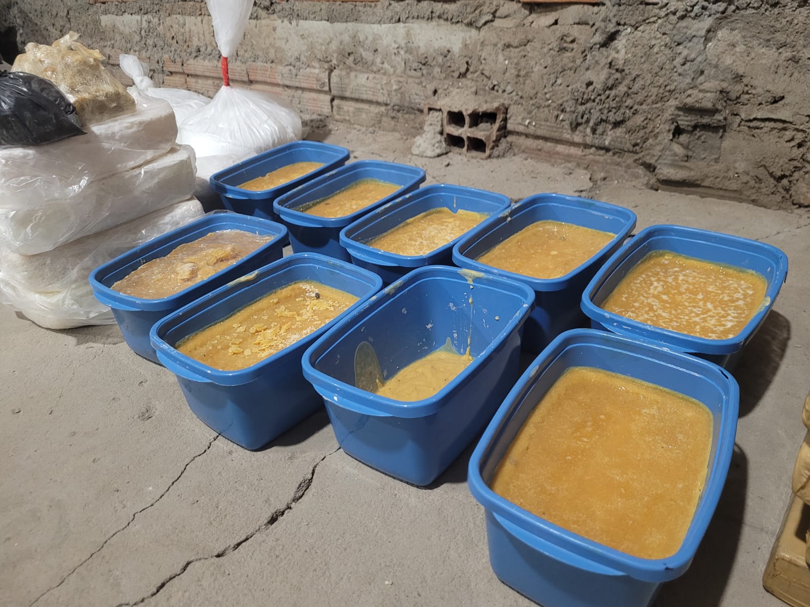 Forças de segurança da Bahia desmantelam três laboratórios de drogas em menos de três semanas
