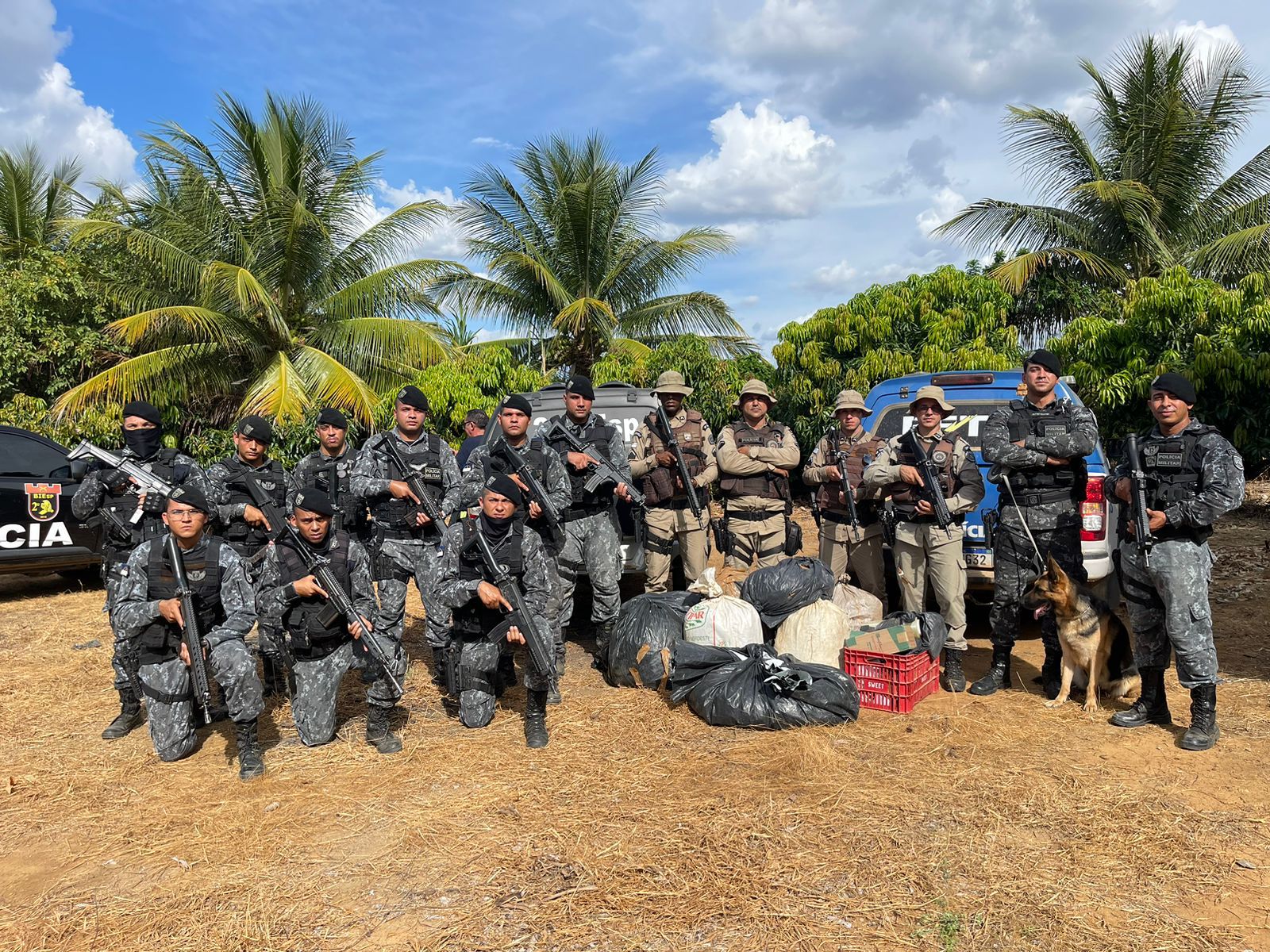 PM apreende 190 quilos de maconha em Juazeiro