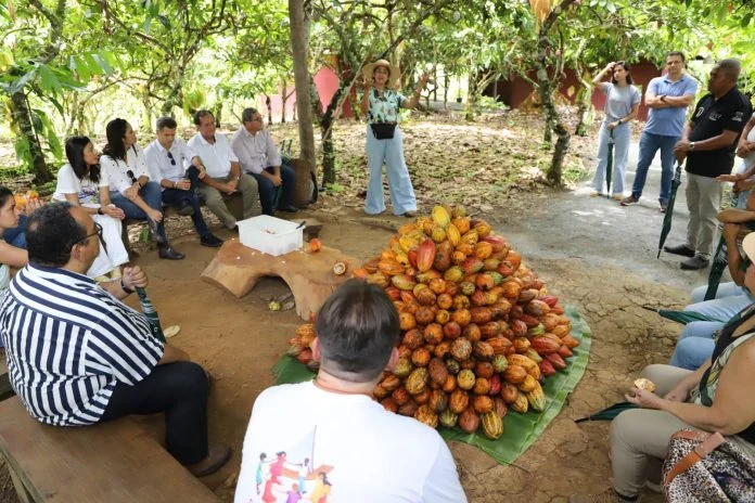 Novos negócios consolidam Estrada do Chocolate como roteiro turístico na Costa do Cacau