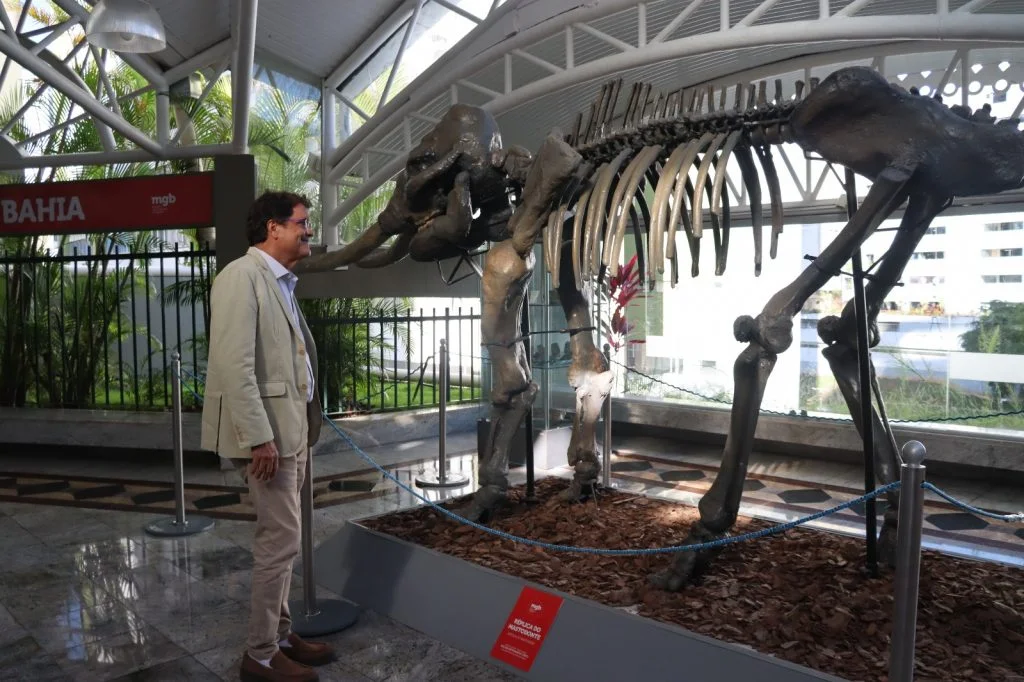 Museu Geológico da Bahia completa 48 anos de história