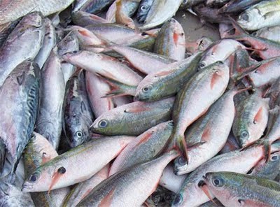Simões Filho: Saiba como retirar o seu ticket do peixe da Semana Santa