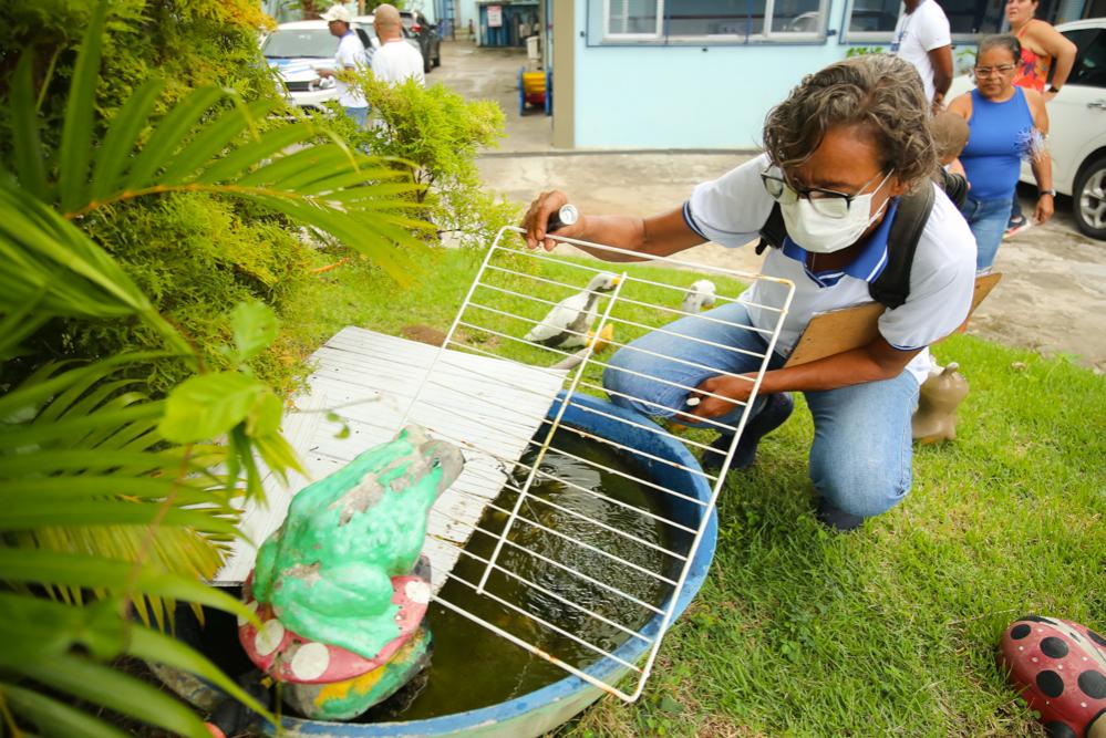 CCZ fecha cerco contra o Aedes em Salvador