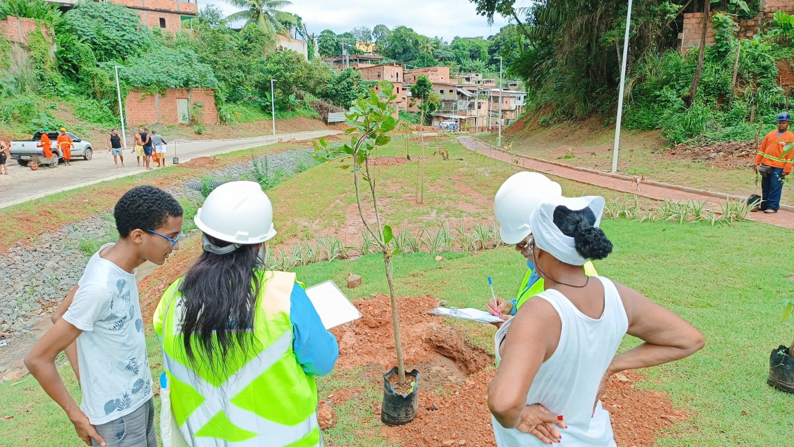 Projeto Novo Mané Dendê transforma Subúrbio Ferroviário com plantio de mais de 200 árvores