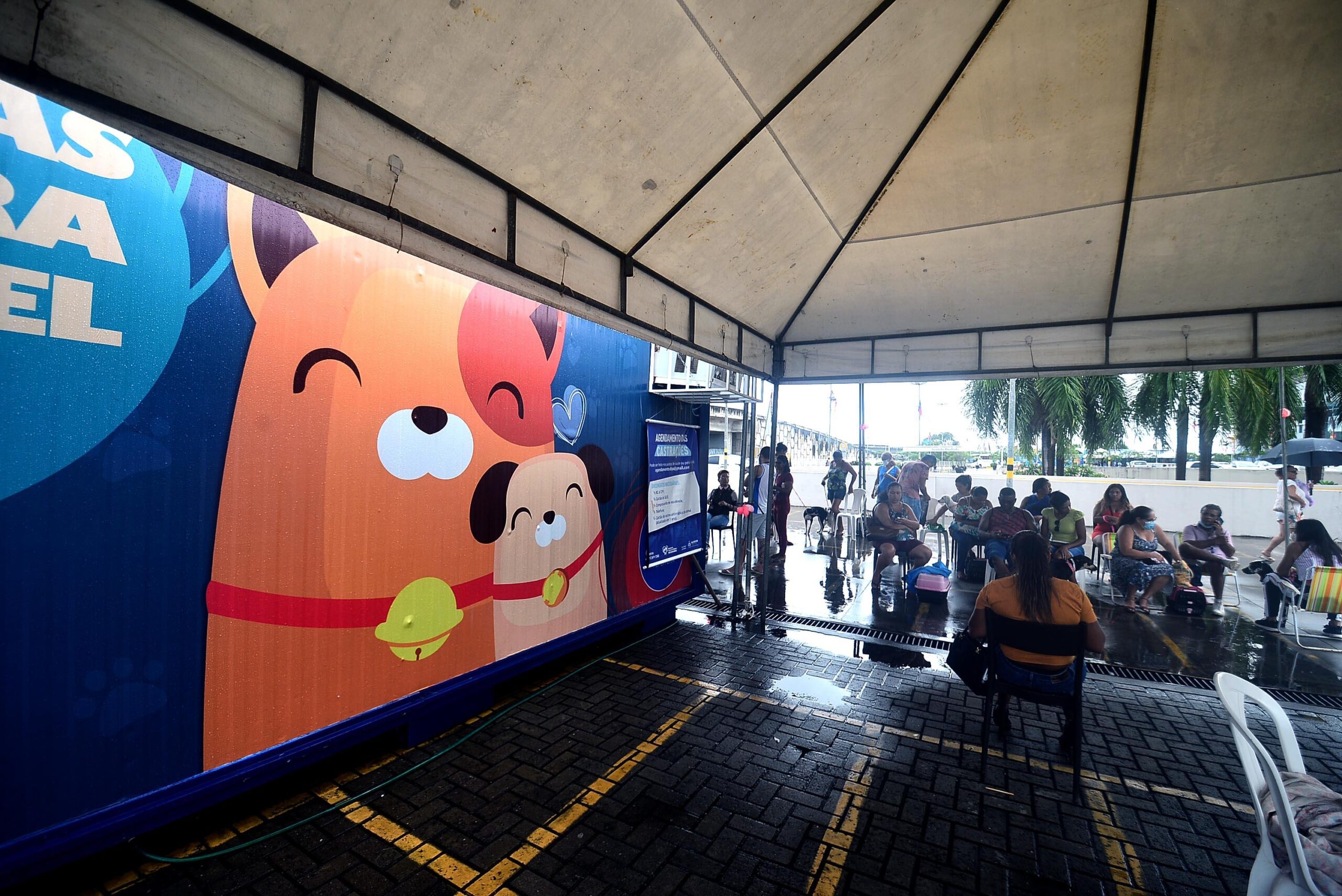 Castramóvel inicia atendimento no Shopping da Bahia a partir de segunda (12) 