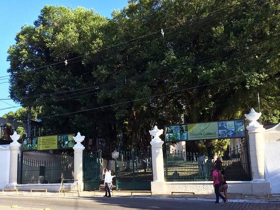 Corpo de jovem encontrado com marcas de tiros no Cemitério Campo Santo em Salvador