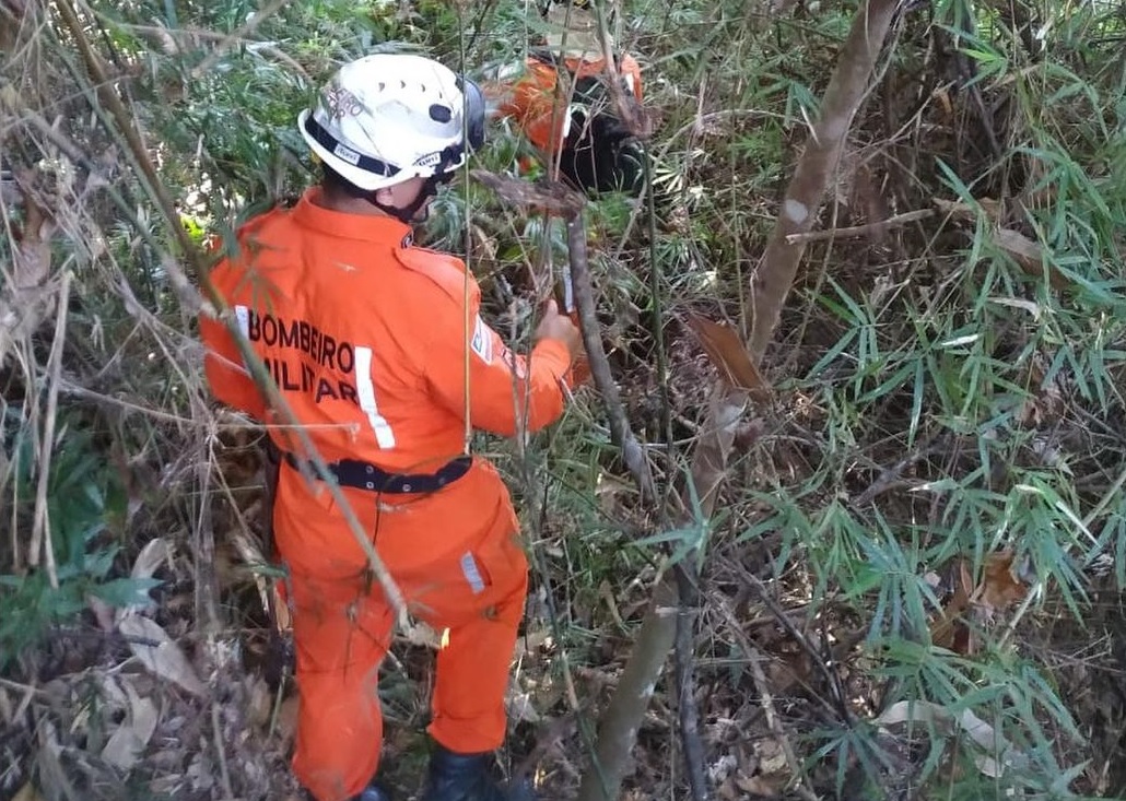Bombeiros salvam mulher desorientada e desnutrida após busca intensa em área de mata