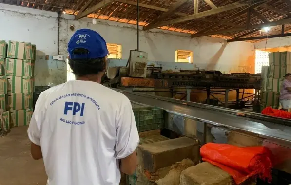 Fazenda na Chapada Diamantina flagrada em situação insalubre com mais de 20 trabalhadores
