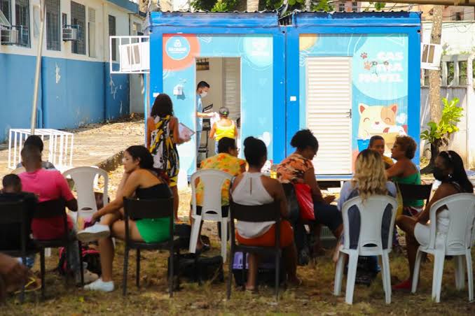 Deixe a Saúde dos Pets em Boas Mãos! Castramóvel inicia atendimentos gratuitos no Jardim Botânico