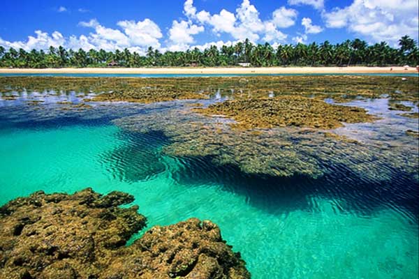 Turista denuncia cobrança abusiva de comerciantes para fotografar a Península de Maraú, na Bahia; MPF investiga o caso