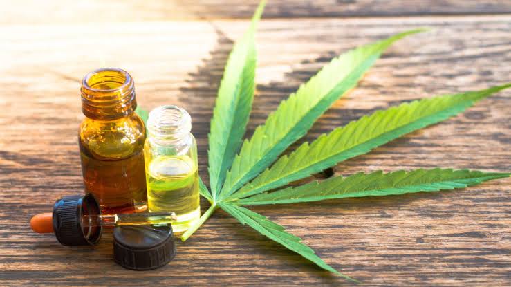 Justiça determina que plano de saúde cubra custos de óleo de cannabis para tratamento de criança com epilepsia