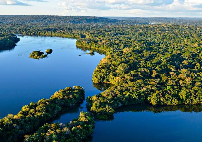 Líderes Amazônicos Assinam Declaração de Belém para Enfrentar Desmatamento
