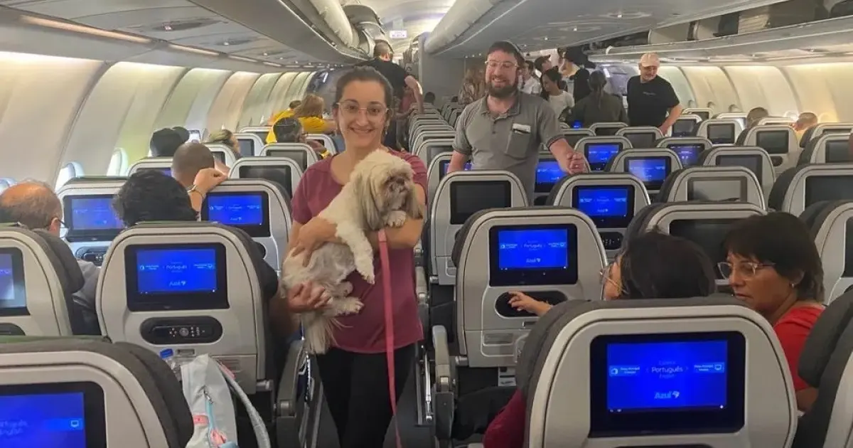 Brasileiros e pets retornam ao Brasil em segundo voo da FAB