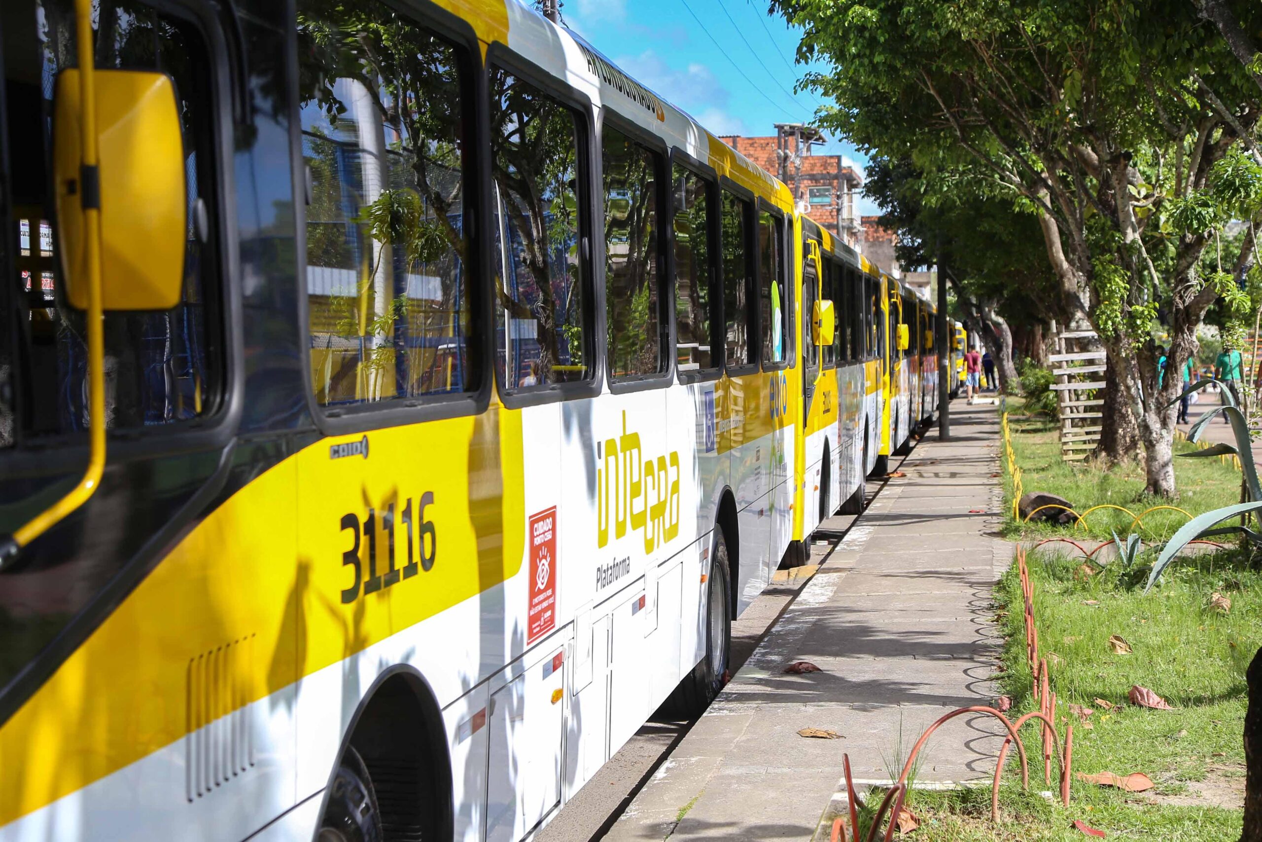 Linhas de ônibus passarão por ajustes a partir deste sábado (14) 