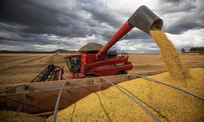 Previsão do IBGE Aponta Aumento de 20,9% na Produção de Cereais, Leguminosas e Oleaginosas em 2023