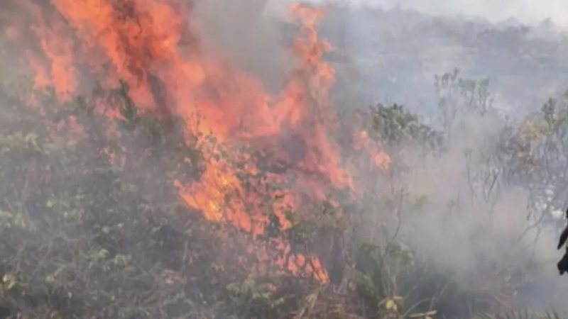 Incêndio em Ituaçu destrói área equivalente a mil campos de futebol