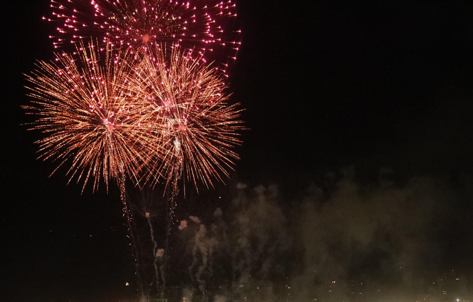 Saiba como lidar com o medo dos animais de estimação durante a queima de fogos do Réveillon 