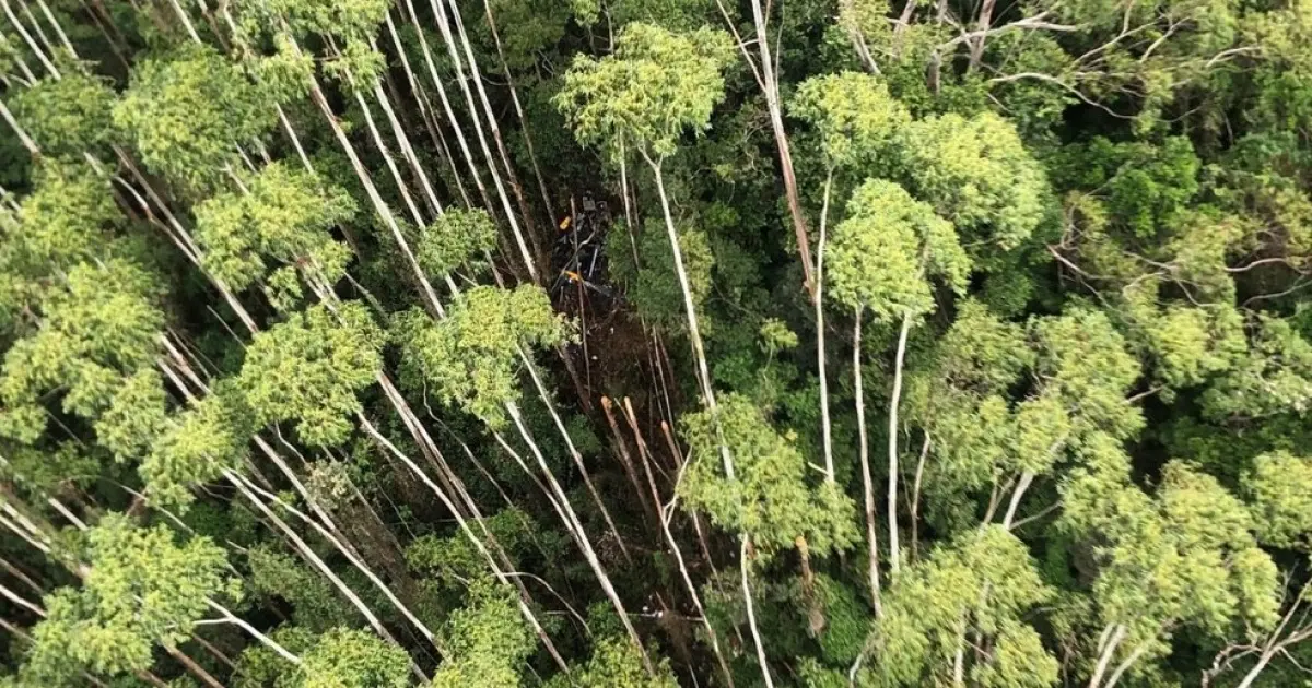 Helicóptero desaparecido com 4 pessoas é encontrado em Paraibuna