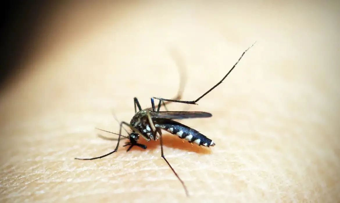 Cidade do Rio entra em estado de emergência para combater a dengue