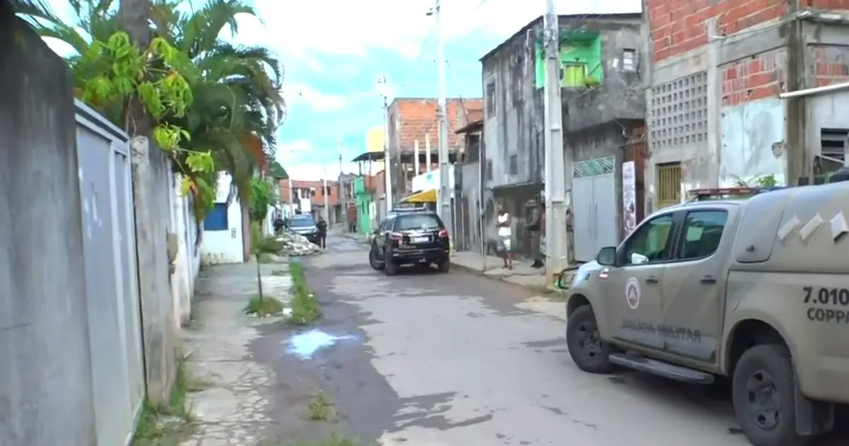 PF deflagra operação contra tráfico de animais em Salvador e RMS