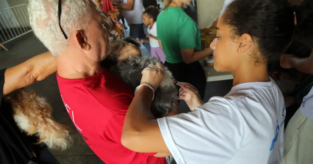 Vacinação V10 Gratuita Protege Cães contra 10 Doenças no Parque da Cidade