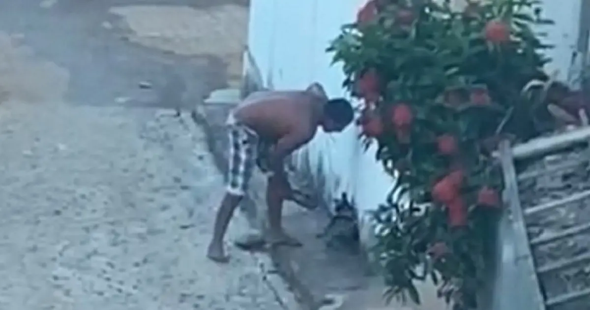 Homem é preso por maus-tratos após arrastar e bater em cachorro