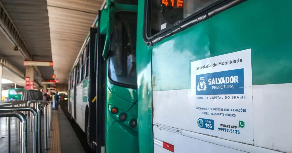 Ônibus voltam a circular na Estrada das Barreiras após incêndio
