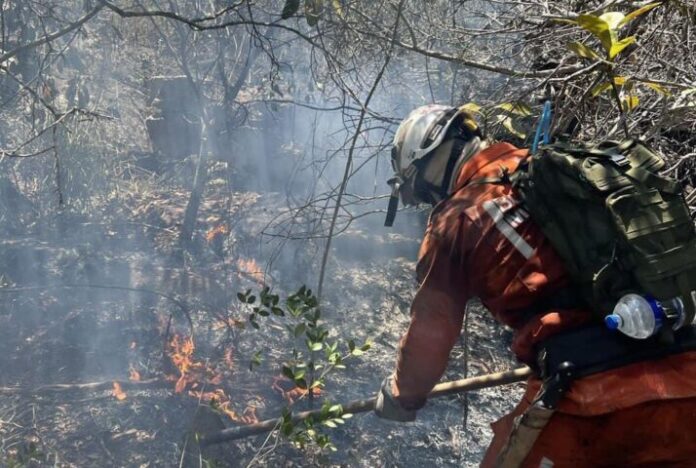 Brasil concentra 76% dos incêndios na América do Sul