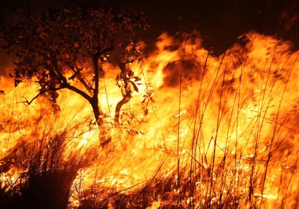 Mais de 11 milhões de pessoas já foram diretamente afetadas por incêndios florestais, diz CNM