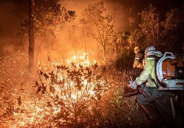 Ações contra queimadas foram insuficientes, diz Marina Silva