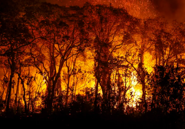 PF investiga incêndios criminosos no Pantanal