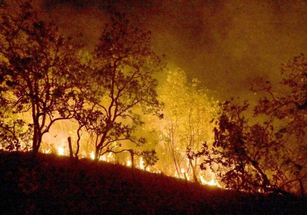 Greenpeace expõe o impacto das queimadas alimentadas pelo crédito rural