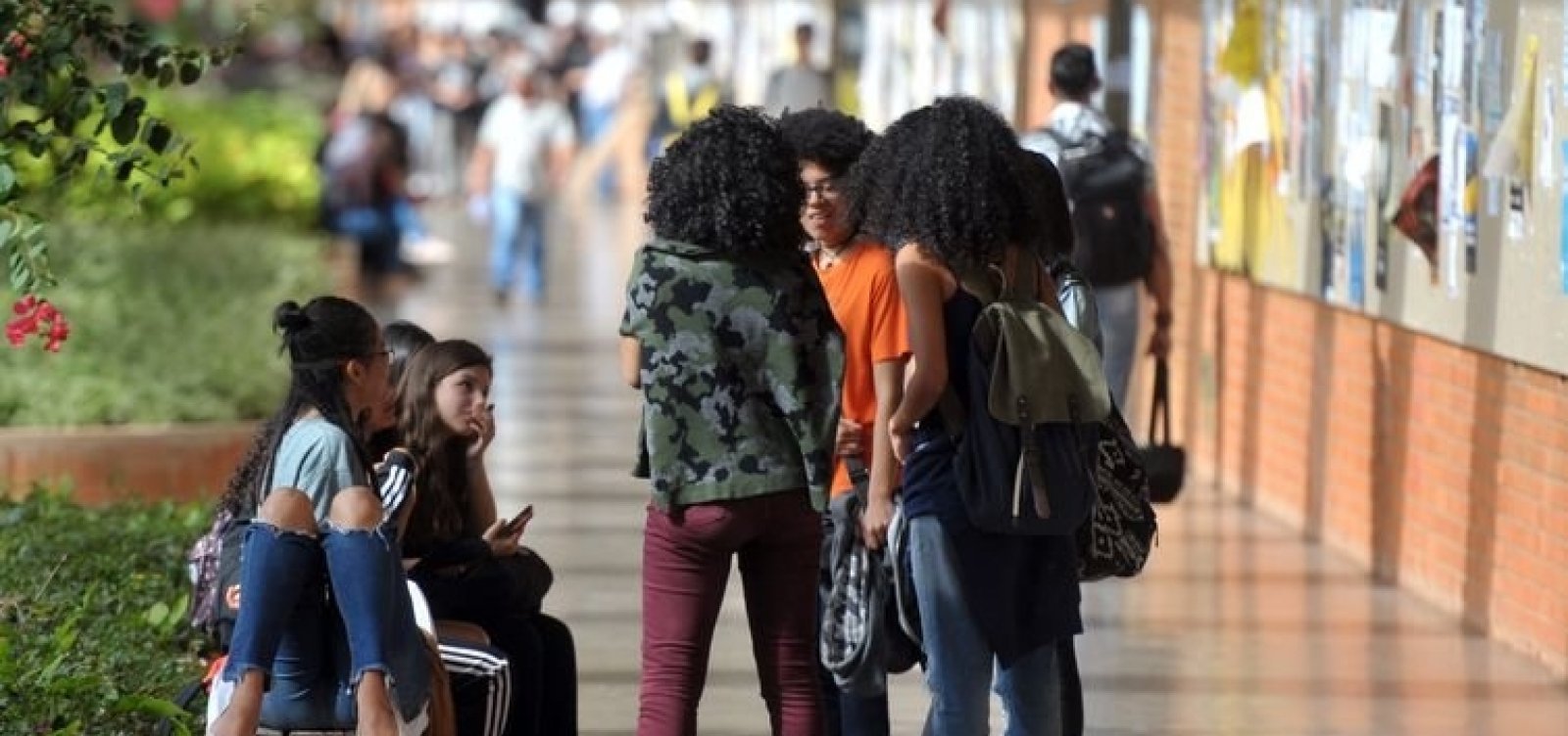 Pesquisa Datafolha revela diferenças de identificação racial entre pardos e pretos no Brasil