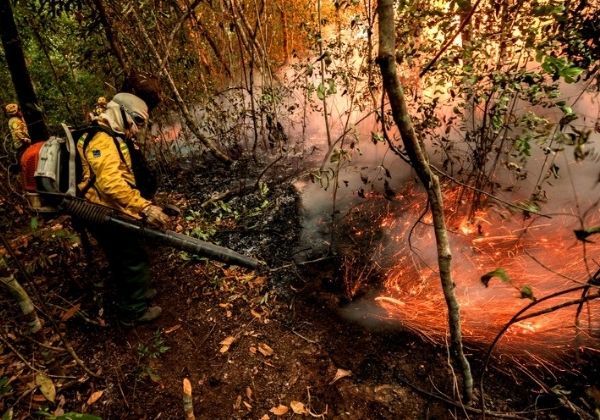 Governo federal e ONU lançam pacote de R$ 700 mi contra crimes ambientais na Amazônia