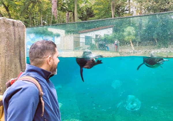 Zoológico de Salvador pode ganhar primeiro aquário imersivo da Bahia