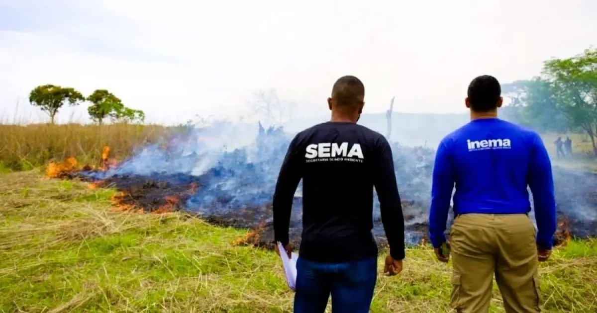 Seminário em Salvador debate combate a incêndios florestais e mudanças climáticas
