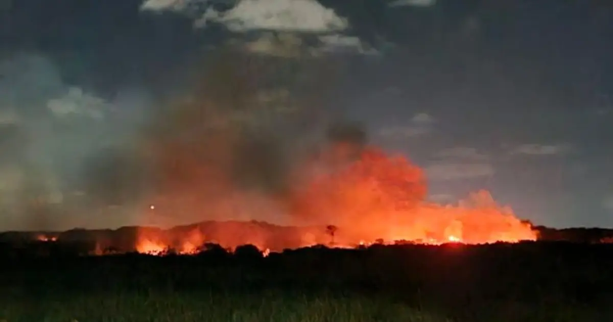 Incêndio atinge área de mata no condomínio Busca Vida em Camaçari