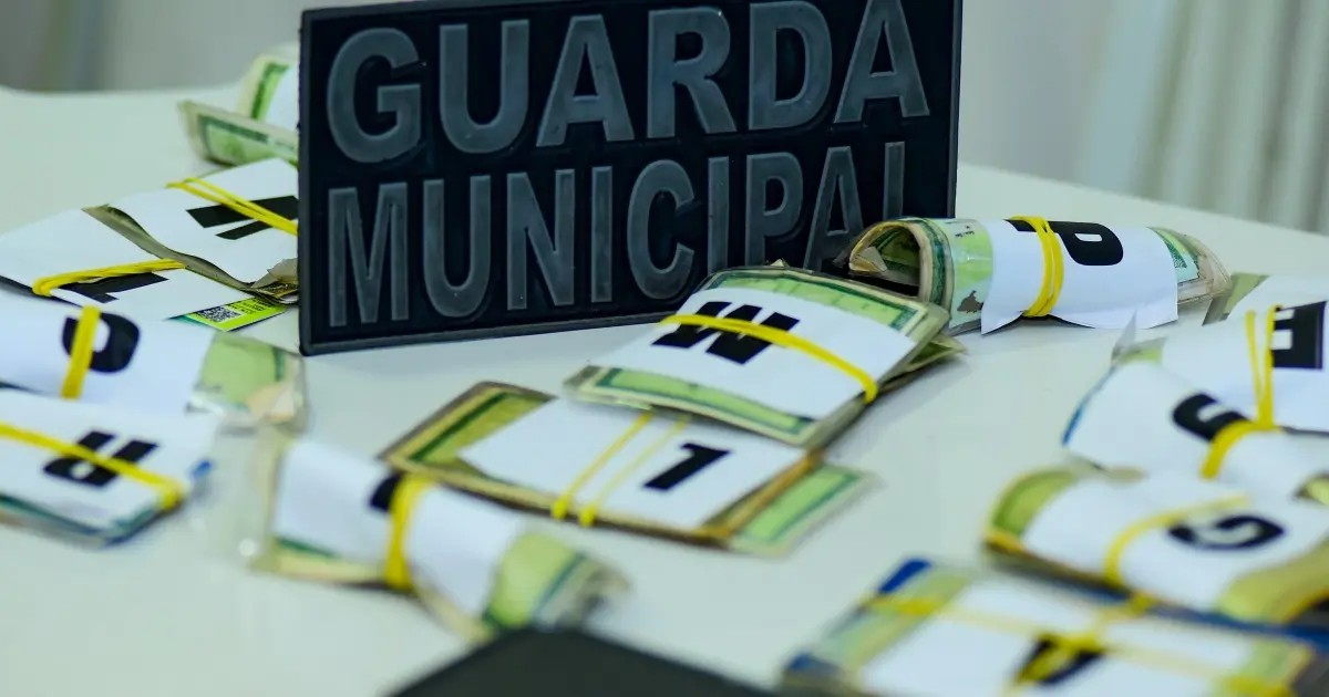 GCM segue entregando documentos achados no Carnaval; veja como recuperar o seu